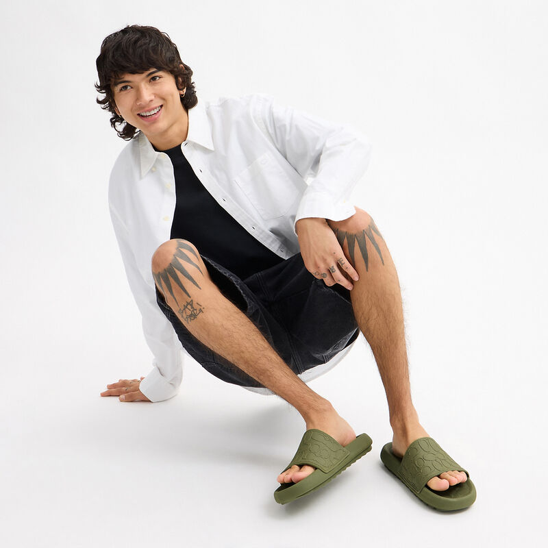 Obi Slide, OLIVE., hi-res image number 4