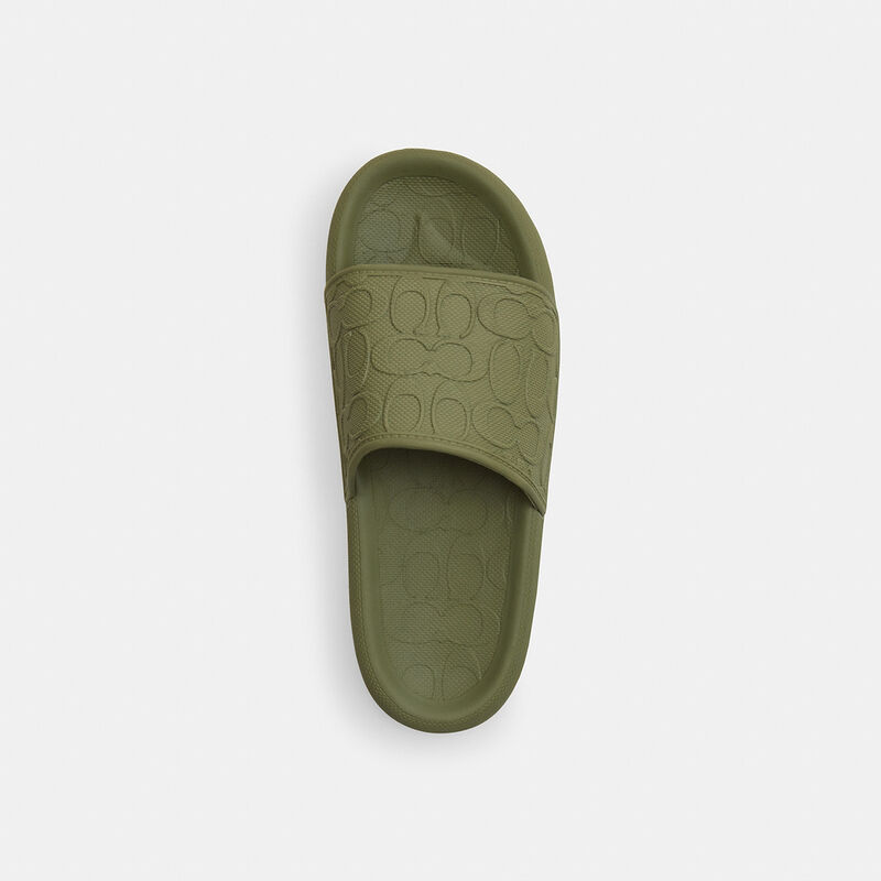 Obi Slide, OLIVE., hi-res image number 3