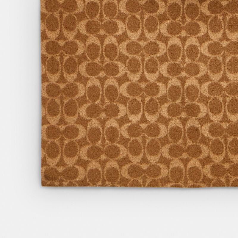 Double Faced Wool Coat, CAMEL, hi-res image number 6