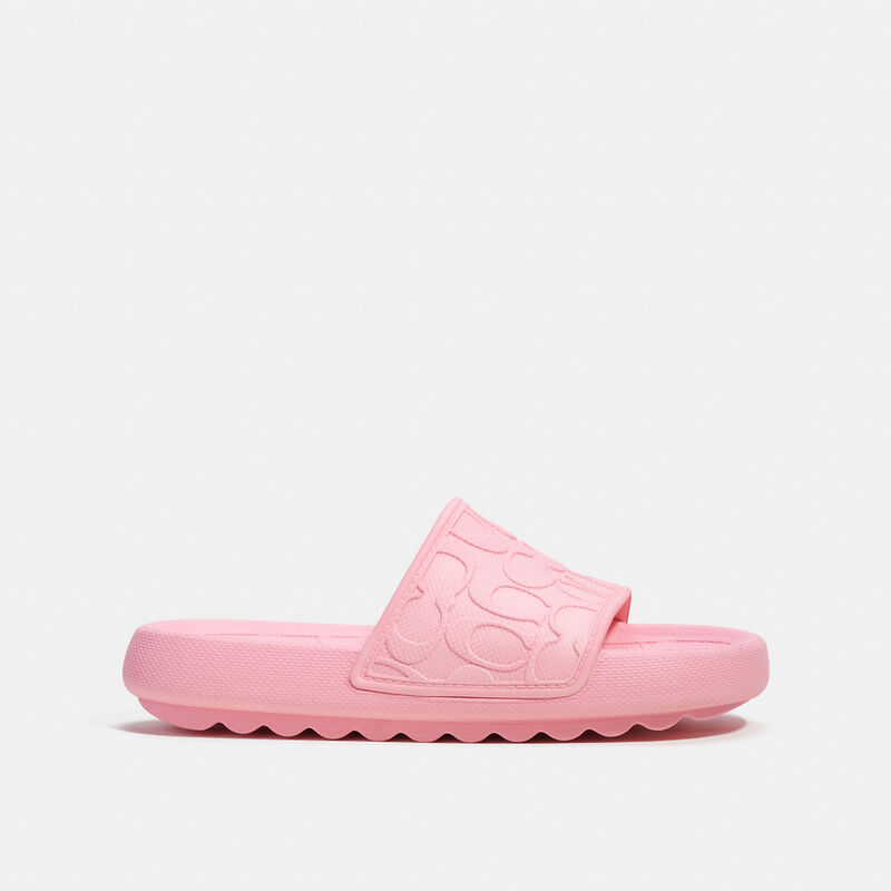 Sport Slide In Signature