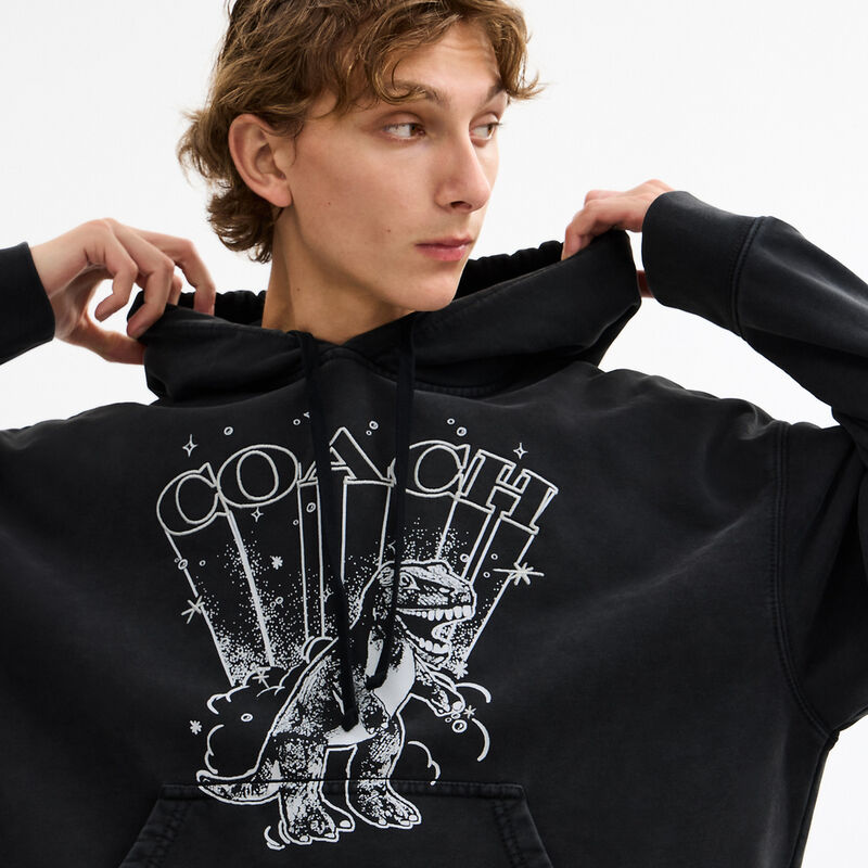 Rexy Hoodie, WASHED BLACK, hi-res image number 4