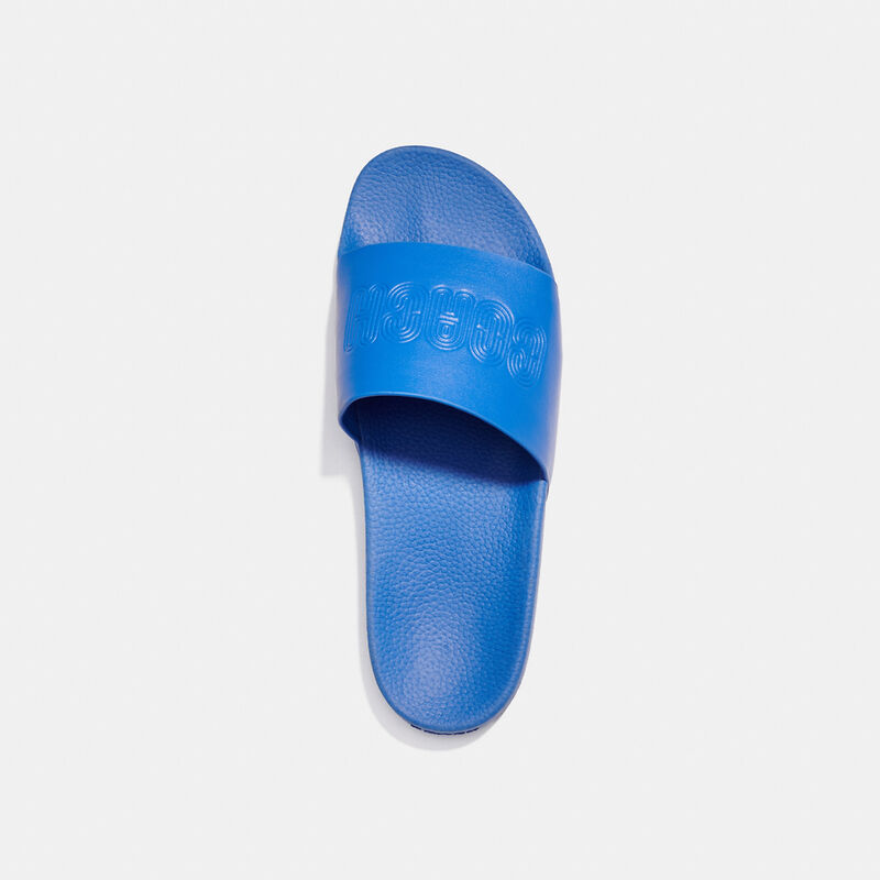 Signature Slide, BLUE FIN, hi-res image number 3